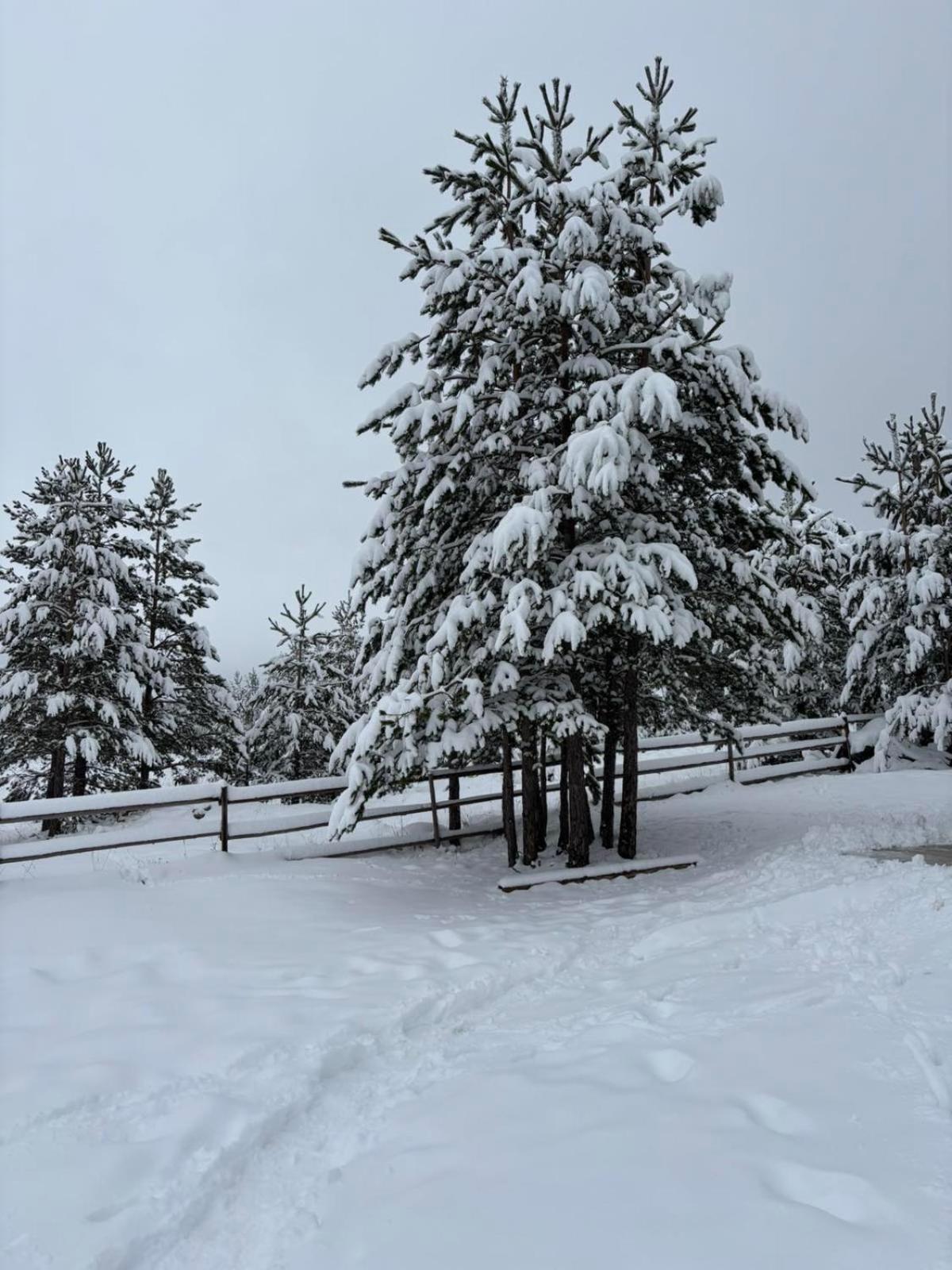 Zabljak_Vikendica Экстерьер фото